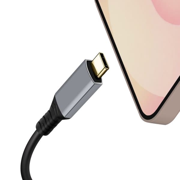 USB-C - VGA - Full HD 1080p - 20cm - Plug & Play - Harmaa