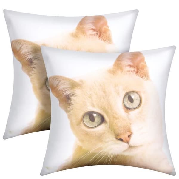 Pudevårter - AVIZAR - Sæt af 2 - 40x40 cm - Kattemønster - Moderne Design brun