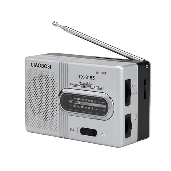 Bärbar radio - AVIZAR - Mini - AM/FM - Teleskopantenn - 2x AAA-batterier Grå