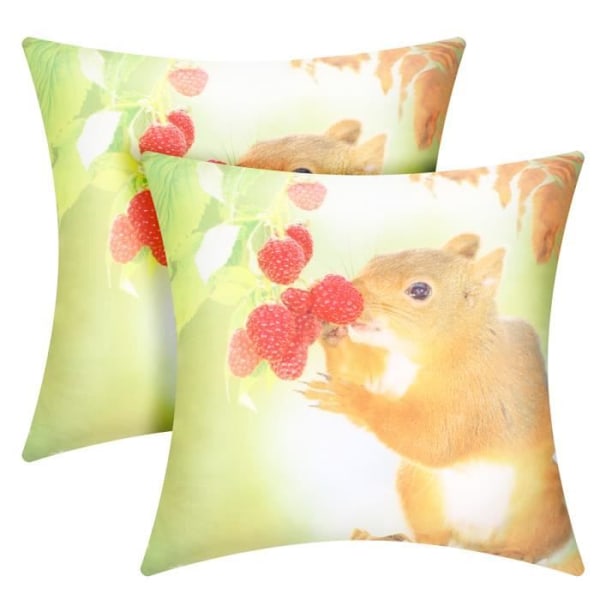 2 kpl Tyynynpäällisiä 40x40 cm Oravakuviolla Flerfärgad