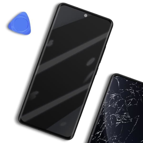LCD-skärm - XIAOMI - 12 Pro - Touchglas - Förmonterad chassi - Härdat glas Grå