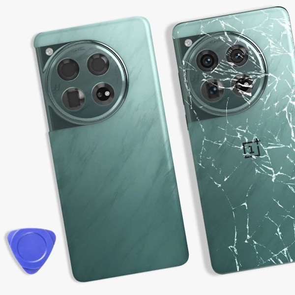 Ersättningsbakglas för OnePlus 12 Grön Grön