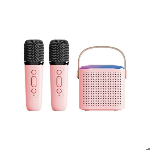 Bluetooth 5.3 Mini Karaoke Kaiutin Malli Taylor Rose Rosa