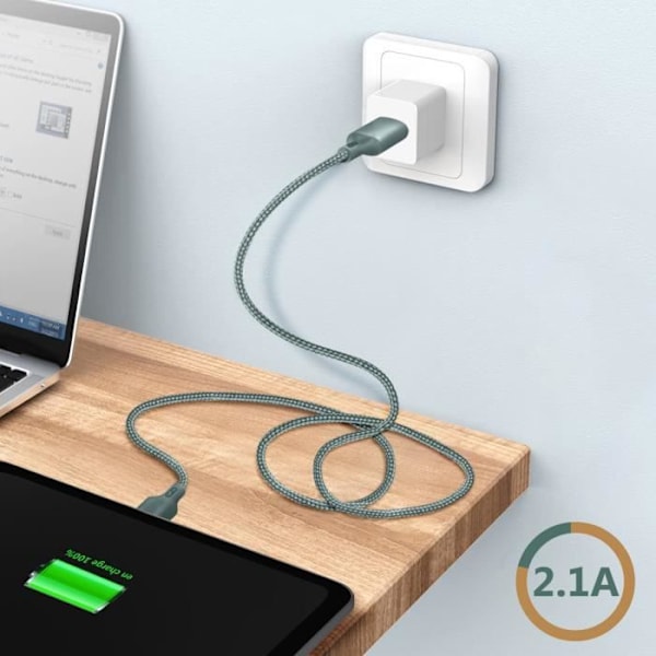 Ekologisk kabel Mikro-USB Intensitet 2,1A 2m Återvinningsbar Bara grön grön