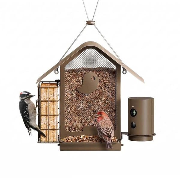 Fuglefoderstation med AI-kamera og solmodul IP66 Birdfy Bronze brun