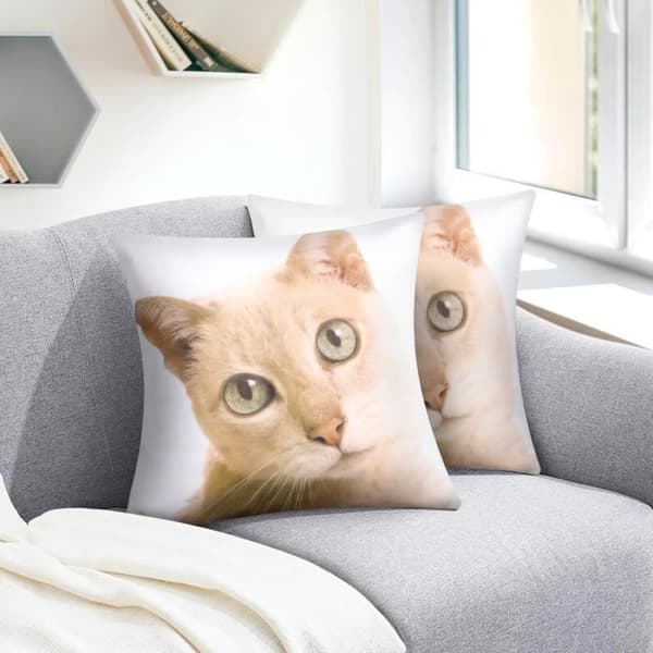 Kuddöverdrag - AVIZAR - Set om 2 - 40x40 cm - Kattmönster - Modern design brun