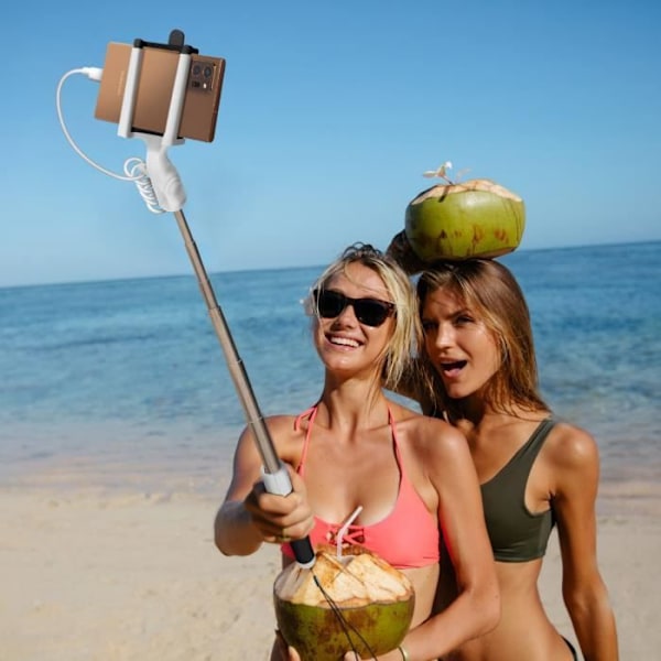 Selfie stik med ledning LINQ - USB-C stik - Udløserknap - Udvikles til 66 cm - Sort