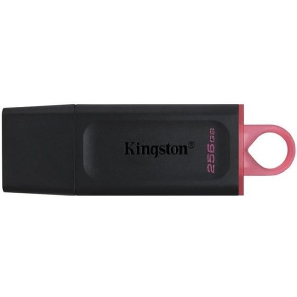 KINGSTON DataTraveler® Exodia 256 GB USB-flashdrev - Med beskyttelseshætte og nøgleringe Sort, Lyserød