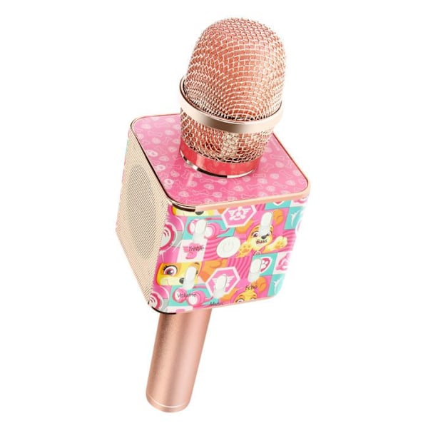 Micro Karaoke trådløs Bluetooth Børn Motif Paw Patrol Stella Forever Rose Champagne Rosa Champagne