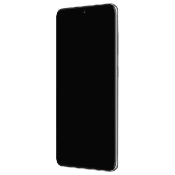 Komplet blok Samsung Galaxy S20 Plus LCD-skærm Touch Glas Original grå Grå