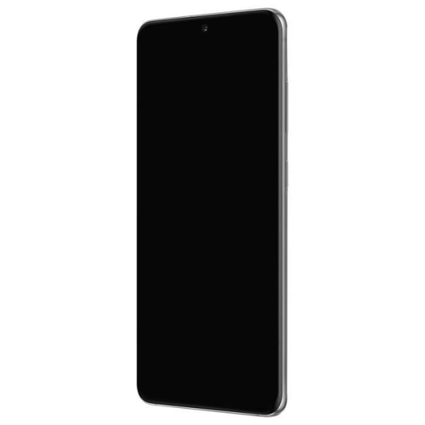 Komplett block Samsung Galaxy S20 Plus LCD-skärm Touchglas Original Grå Grå