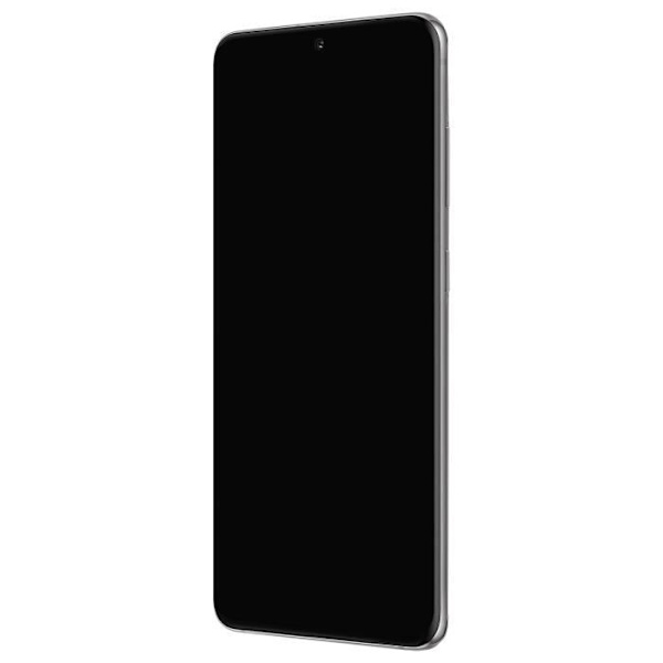 Täydellinen Block Samsung Galaxy S20 Plus LCD-näyttö Kosketuslasi Alkuperäinen harmaa Harmaa