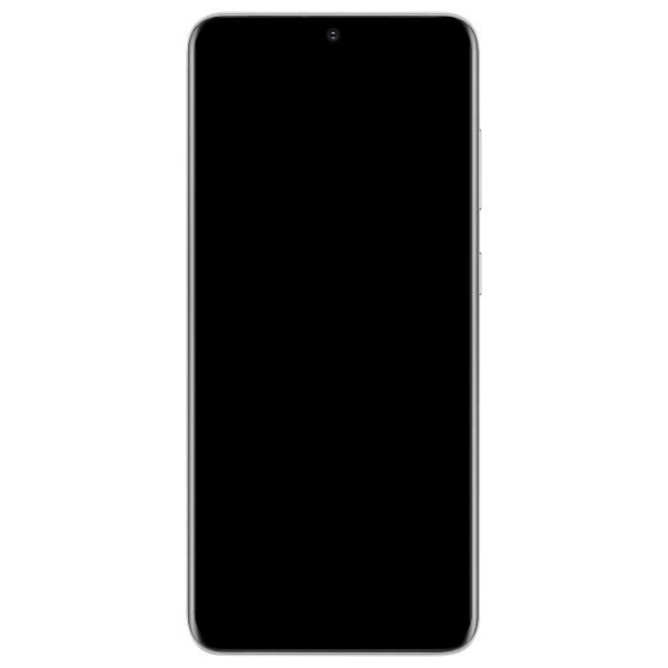 Block Komplett Samsung Galaxy S20 LCD-skärm Touchglas Original Vit Vit