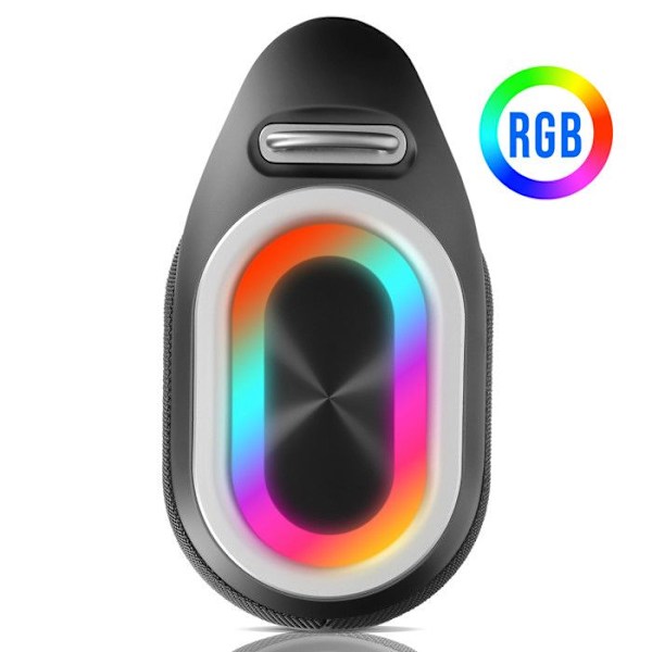 Bluetooth-højttaler med mikrofon, bærbar, 13 timers driftstid, Swissten, sort Svart