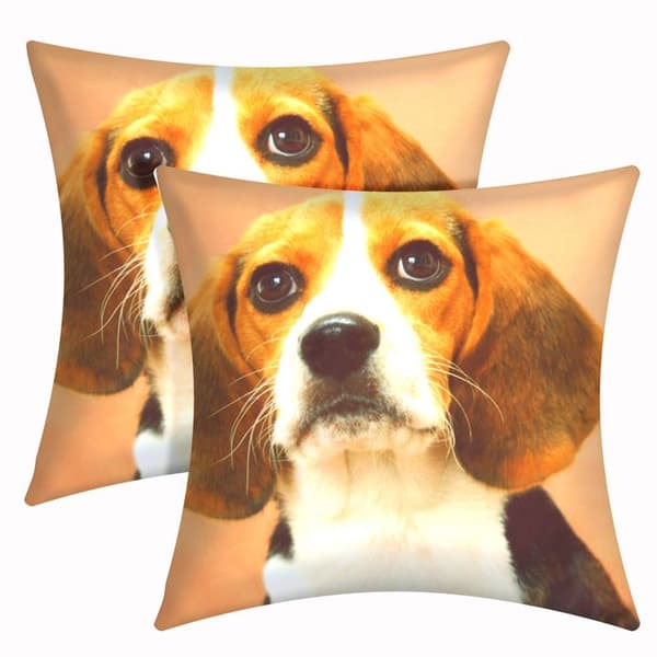 Pyntehuse - AVIZAR - Sæt af 2 - 40x40 cm - Beagle Motiv - Brun brun