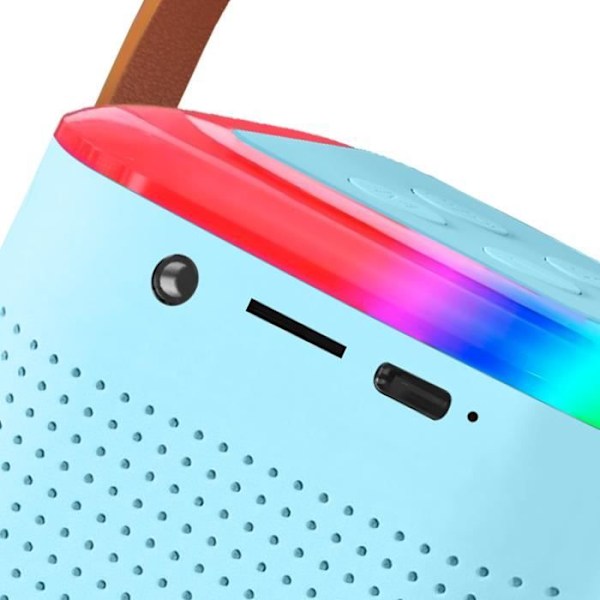 Mini LED Bluetooth-kaiutin langattomalla mikrofonilla Kannettava karaokesarja vaaleansininen Blå