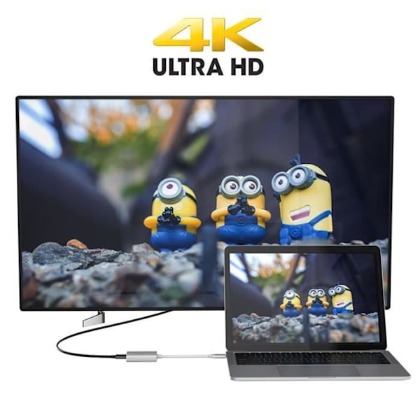 Videoadapter - LINQ - USB Typ C till HDMI-kabel - 4K - 15 cm - Plug & Play Silvergrå
