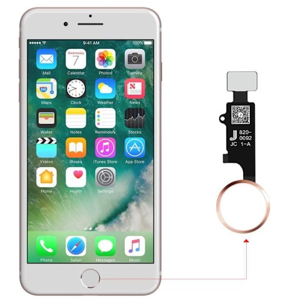 3D-kotipainike iPhone SE 2020:lle, 8 Plus, 8, 7 Plus ja 7 Pink Rosa