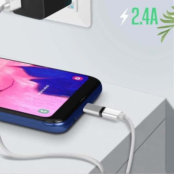 USB-C Hon till Micro-USB Han 2.4A – Snabbladdning och Synkronisering - Grå