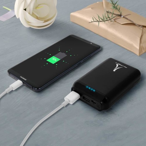 Powerbank 10000mAh ekstern oplader 2x USB-porte + Micro USB-port Akashi Black