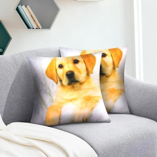 Sæt af 2 Pudeovertræk 40x40 cm Motif Hund Pels kastanj