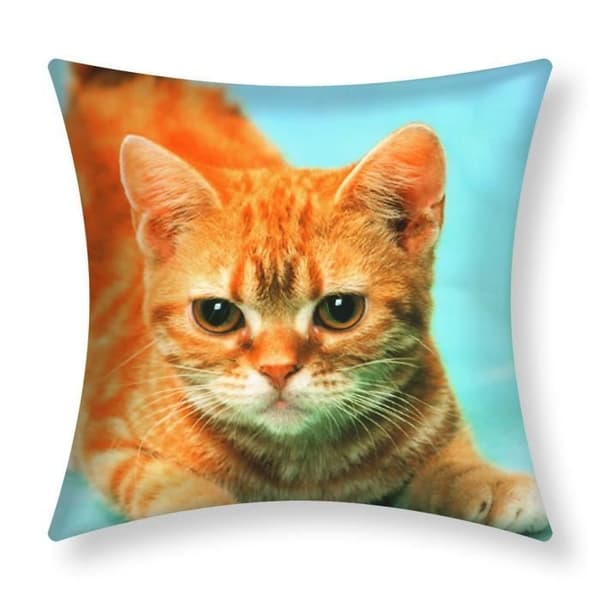 Pudevår - AVIZAR - Sæt af 2 - 40x40 cm - Gul Kat Mønster - Moderne Design Blå