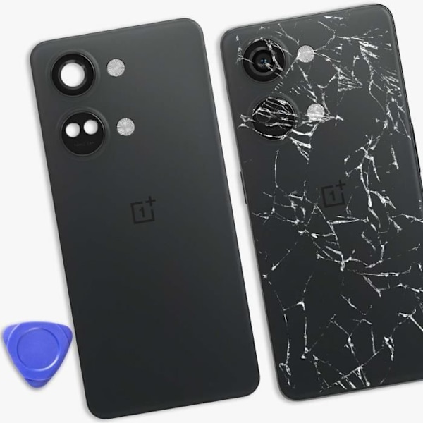 Vaihden lasi OnePlus Nord 3 5G:lle, harmaa Grå