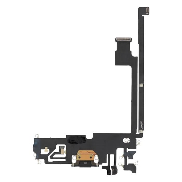 Lyn- og mikroopladningsstik til iPhone 12 Pro Max Sort Svart