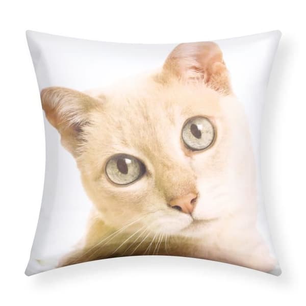 Pudevårter - AVIZAR - Sæt af 2 - 40x40 cm - Kattemønster - Moderne Design brun