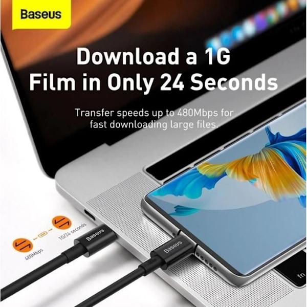 BASEUS CATYS-C01 USB KABEL 2 M USB C SORT 57983104469