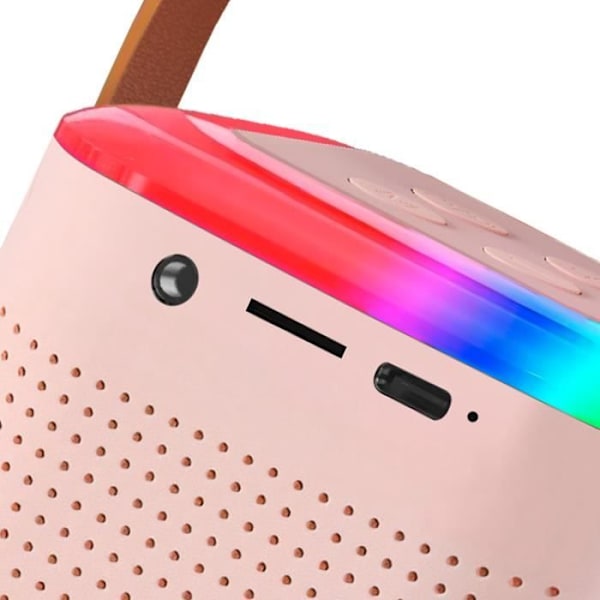 Mini LED Bluetooth-kaiutin langattomalla mikrofonilla Kannettava Karaoke Kit Powder Pink Rosa