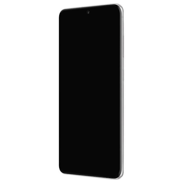 Block Komplett Samsung Galaxy S20 LCD-skärm Touchglas Original Vit Vit