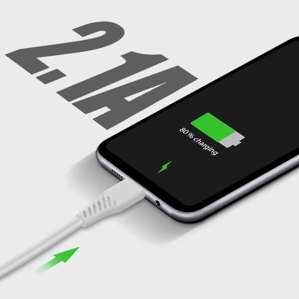 Dobbelt USB 2.1A Smart IC-netoplader + Swissten USB-C-kabel Hvid