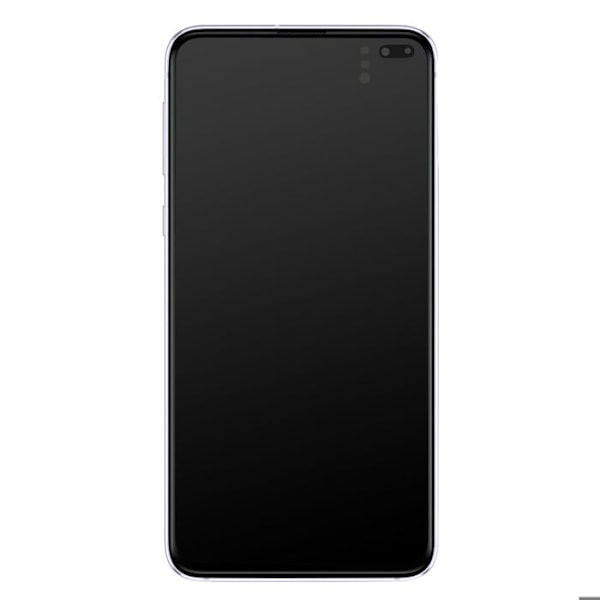 Komplet blok Samsung Galaxy S10 Plus LCD-skærm original berøringsglas sølv Grå