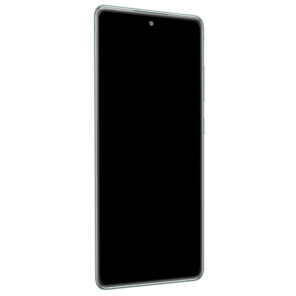 Komplett block Samsung Galaxy S20 FE 5G LCD-skärm Touchglas Original Grön