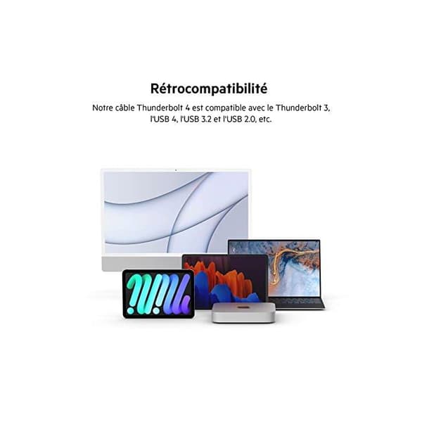 Thunderbolt 4 - BELKIN - 2 m - 40 Gbit/s - 100 W Tehojakelu - USB Type-C