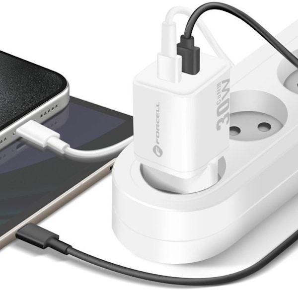 Laddare Sektor GaN III 30W med USB-C + USB Mini Format Forcell Vit Vit