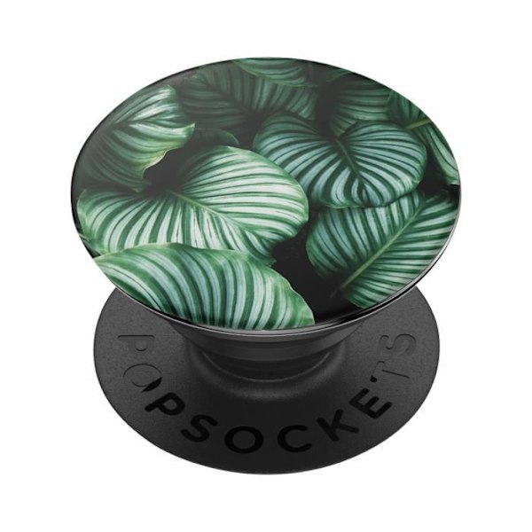 PopGrip Tropical Design Smartphone Holder Video Support PopSockets Tropisk