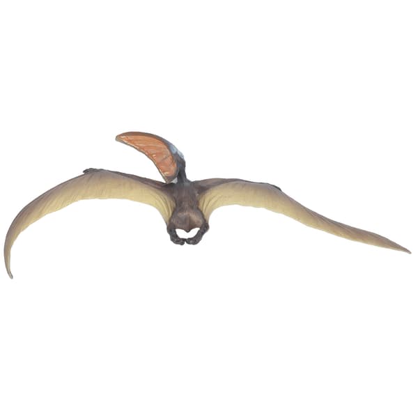 Jurassic Dinosaurmodell Leketøy Simulering Pterosaur Samling Modell Pedagogisk Leketøy for Barn Simulering Pterosaur Modell