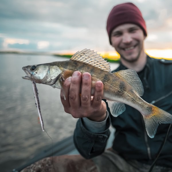 Silikon, kunstig orm, meitemark, myk fiskelokk Agn, fiskeutstyr (10 stk, 1,7 g, 9 cm)