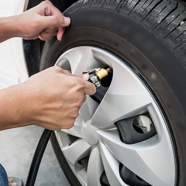 Pyörän pumpun jatkoletku Schrader-venttiilillä, uroslangallinen kumirenkaan täyttölaite ja 2 autonrenkaan venttiilisovitinta - 20 cm:n johdon pituus
