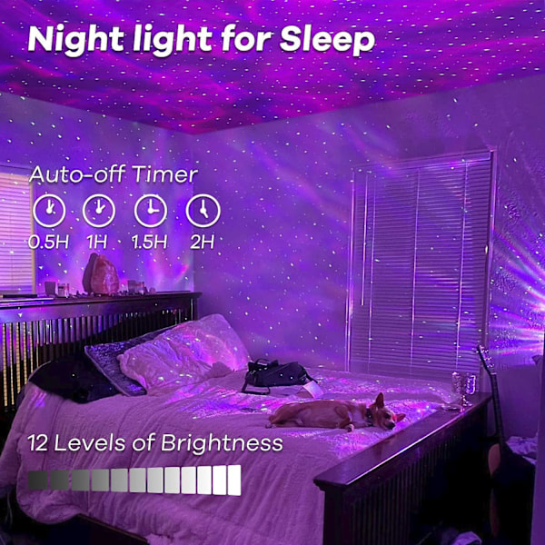 Stjärnprojektor Nattlampa, Galaxprojektorlampa, Inbyggd Bluetooth-högtalare, Timer med Fjärrkontroll, Stjärnklar Himmelprojektor för Barn Vuxna Present P