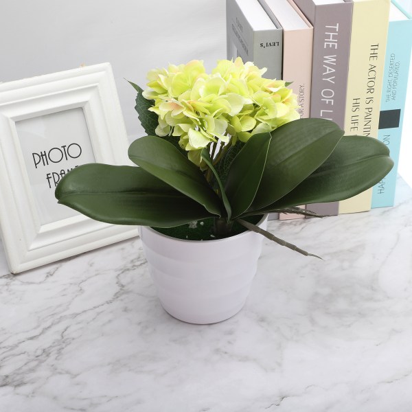 Phalaenopsis Blad Orkidéblad Bröllop Heminredning Simuleringsväxter