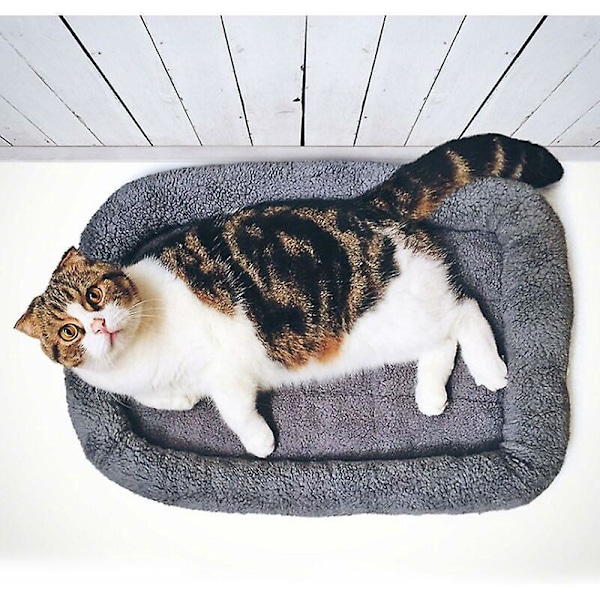Hundeseng Vaskbar Kjæledyrseng Madrass Kattepute Matte Kennel For Hunder Grå 50X40cm