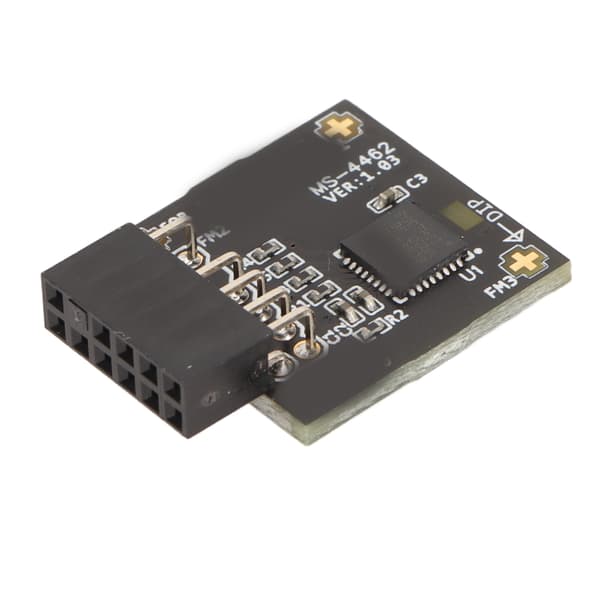 TPM2.0 Modul TPM SPI 12Pin Modul med SLB 9670 Standalone Sikkerhedsmodul til MSI Bundkort til Windows 10 11