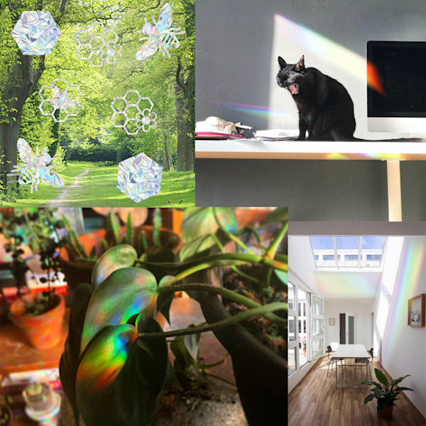 16 st Rainbow Suncatcher Window Clings Anti Collision Window Stickers Dekaler för fåglar