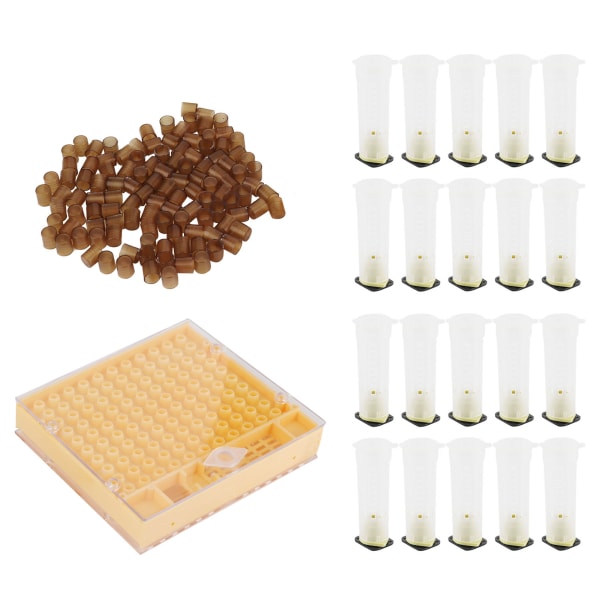 Queen Bee Rearing Box Cage Plastic Breeding Cell Cup Kit Biavlerudstyr Supplies