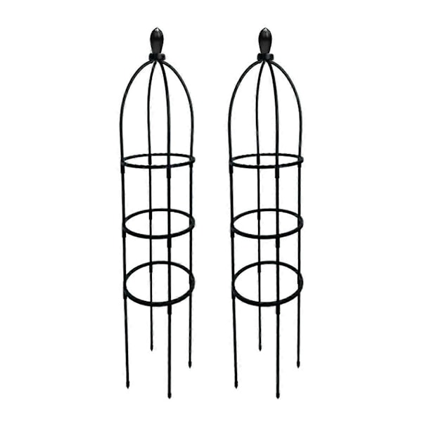 Klatreplante Obelisk Espalier, Have Espalier 2 stk. (B)