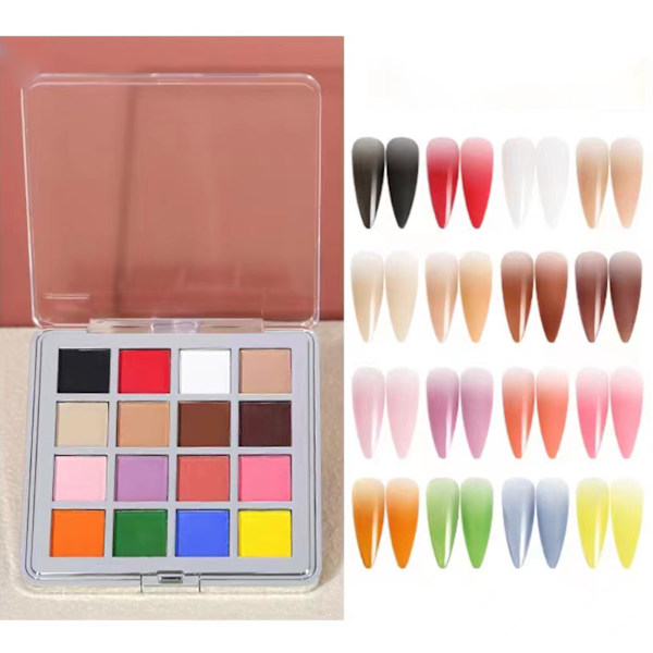 Gradient Pink Magic Mirror Nail Art Powder - 17 färger B