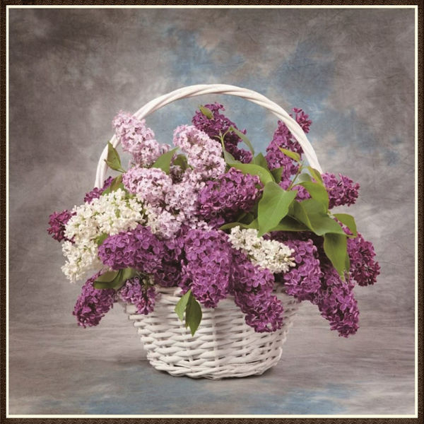 Semi-diamantblommor Fe DIY Strassmålning Vardagsrumsdekoration Konst Hantverk 8530